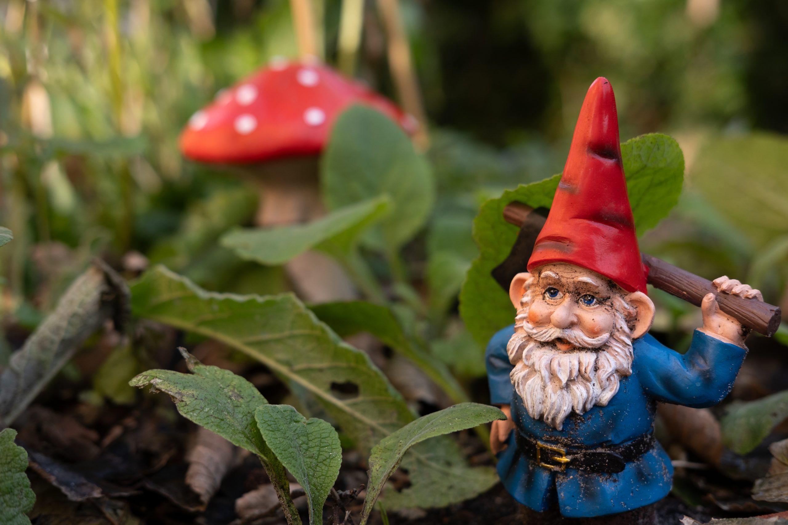 The Garden Gnome